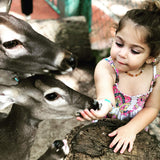 Amber + Pink/Purple Big Kids Necklace