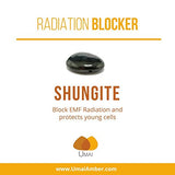 Raw Amber with Shungite Teething Necklace: Blocks Radiation