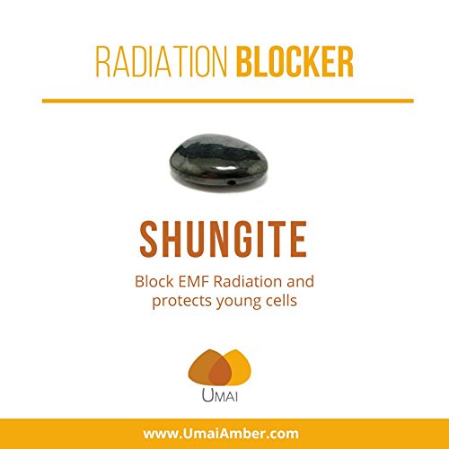 Raw Amber with Shungite Teething Necklace: Blocks Radiation