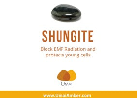 Shungite + Amber Adult Necklace: Radiation Blocker